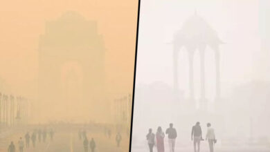 Weather Update: Dense Fog Grips Delhi-NCR; Temperature Drops to 1, IMD Predicts Light Rain