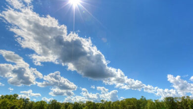 Dry Weather Predicted in Andhra Pradesh and Rayalaseema for the Next Week: Met Department