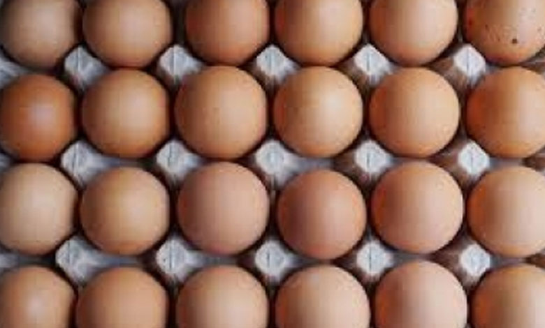 Bird Flu Outbreak Drives Egg Prices to Record High in the US