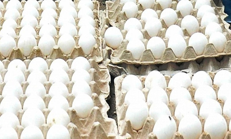 EGGS Bird Flu Outbreak Drives Egg Prices to Record High in the US