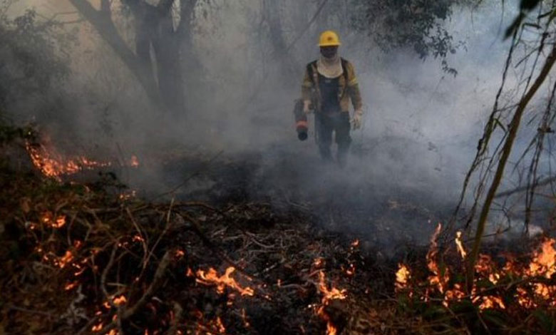 Wildfire Devours 3,500 Hectares of National Park in Argentina