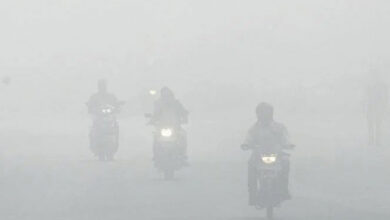 Hyderabad: Dense Fog Grips City: Key Highways Suffer Reduced Visibility