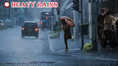 Heavy Rain in Tamil Nadu’s Tenkasi District Leads to Restrictions at Courtallam Waterfalls