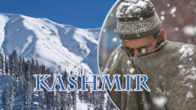 Intense Cold Wave Returns to Kashmir