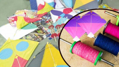 Telangana: Makar Sankranti Turns Deadly: 3 Injured by Prohibited Kite Strings