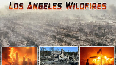 Watch: Los Angeles Wildfires Kill 16, Displace 150,000, Destroy 12,000 Homes, $150 Billion in Losses—Will It Get Worse?