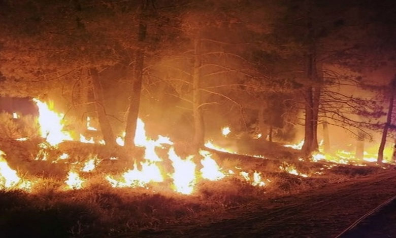 LOS ANGELES 2 Death Toll Rises to 16 as Firefighters Battle Spreading Wildfires in Los Angeles