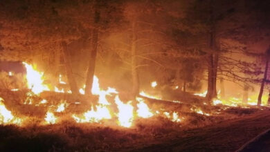 Death Toll Rises to 16 as Firefighters Battle Spreading Wildfires in Los Angeles