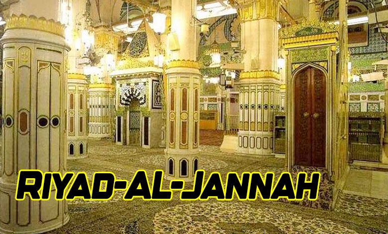 RIYADH UL JANNAH 1 Good News for Madinah Pilgrims: One-Year Ban on Riyad Al-Jannah Entry Lifted