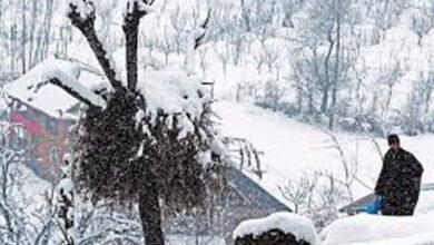 Fresh snowfall lashes Kashmir Valley, more likely between January 4-6