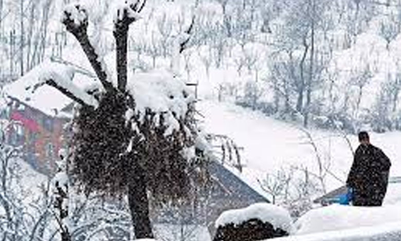 Fresh snowfall lashes Kashmir Valley, more likely between January 4-6