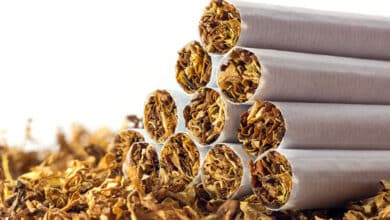 India's tobacco exports surge to record high of Rs 12,005 crore, farmers' income more than doubled