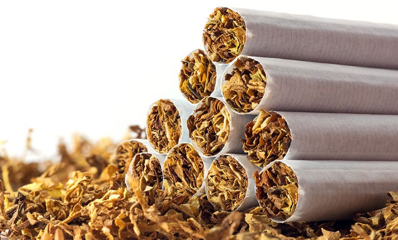 India's tobacco exports surge to record high of Rs 12,005 crore, farmers' income more than doubled