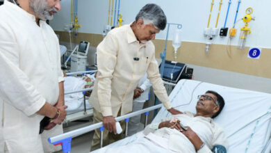 Tirupati Stampede: Andhra Pradesh CM Visits Injured Devotees in Hospital