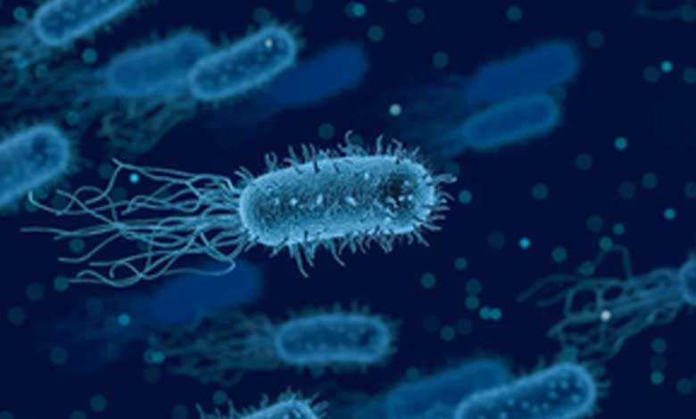 Israeli Researchers Discover Passive Virus Defense System in Marine Bacteria