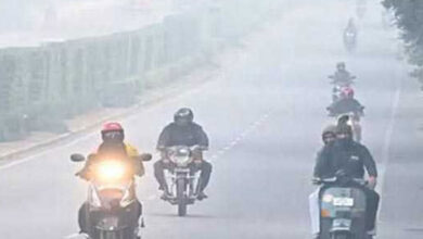 Weather Update: Cold Wave Sweeps Across Hyderabad and Telangana: Temperatures Drop to 2°C in These Areas