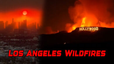 Los Angeles Wildfires: What You Need to Know About Embers Raining Down Across the Area