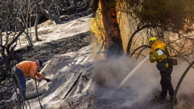 Southern California Wildfires: Rain Helps Firefighters but Poses Risk of Toxic Ash Runoff