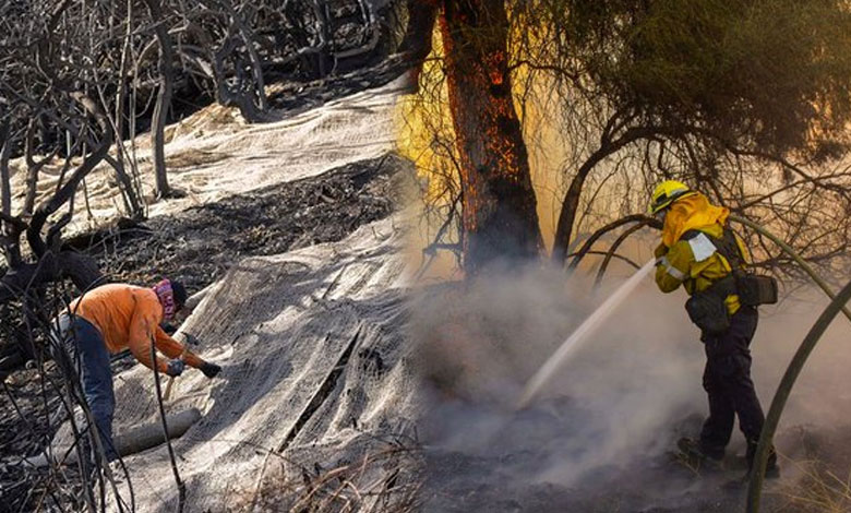 Southern California Wildfires: Rain Helps Firefighters but Poses Risk of Toxic Ash Runoff