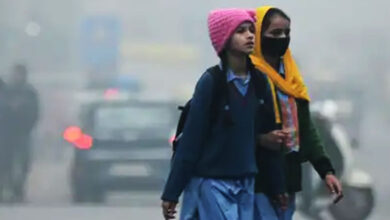 Cold Wave-Like Conditions Grip Parts of Telangana, Including Hyderabad