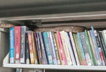 Snake Spotted on Books at Mahatma Gandhi University Library, Students Panic