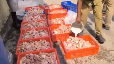 Hyderabad Health Scare: Rotten Chicken Found in Cold Storage, Destined for Bars and Restaurants