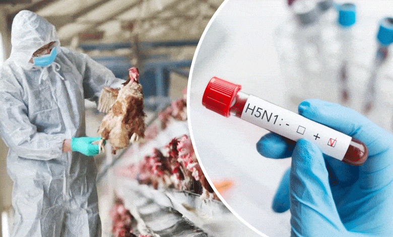 Bird Flu Alert: Symptoms Detected in Andhra Pradesh Resident