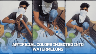 Artificial Colors Injected into Watermelons in Hyderabad Godown