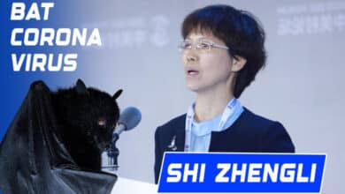 Meet Shi Zhengli – The ‘Batwoman’ Who Found a New Bat Virus with Human Infection Potential