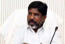 Telangana Govt Gears Up to Meet Summer Electricity Demand: Deputy CM