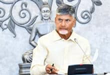 Andhra Pradesh CM Chandrababu Naidu Emphasizes Merit-Based Vice-Chancellor Appointments