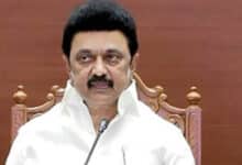 Forcing Third Language in AI Era Unnecessary: CM Stalin