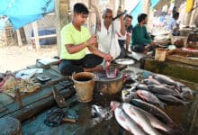 Hyderabad Faces Surge in Fish Consumption as Mutton Prices Soar Amid Birdflu Panic