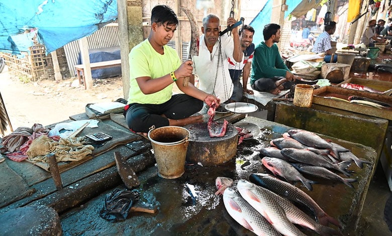 Hyderabad Faces Surge in Fish Consumption as Mutton Prices Soar Amid Birdflu Panic