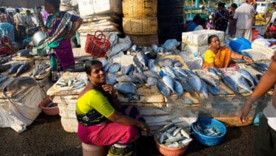 Hyderabad Faces Surge in Fish Consumption as Mutton Prices Soar Amid Birdflu Panic