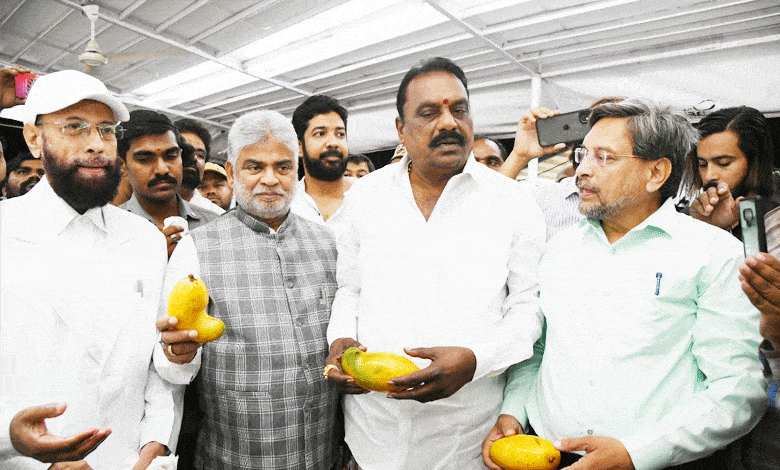 Telangana Speaker Unveils Mango Expo Featuring 400 Rare Varieties