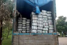 Massive Ganja Seized in Uttar Pradesh: Here Are the Details