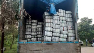 Massive Ganja Seized in Uttar Pradesh: Here Are the Details