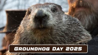 Groundhog Day 2025: Will Punxsutawney Phil Forecast Six More Weeks of Winter or an Early Spring?