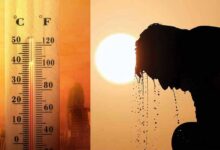 Extreme Heat Hits Telangana, Temperatures Cross 37°C in These Areas; Experts Issues Warning for the Next 3 Days