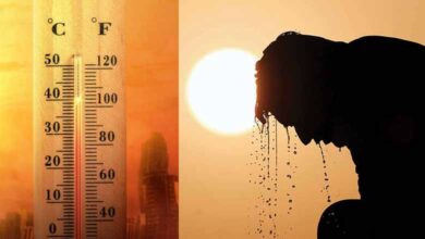 Extreme Heat Hits Telangana, Temperatures Cross 37°C in These Areas; Experts Issues Warning for the Next 3 Days