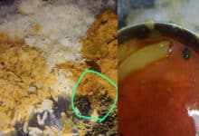 Hygiene Outrage: Kakatiya University Hostel Serves Infected Meals!