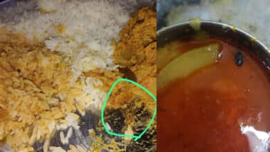 Hygiene Outrage: Kakatiya University Hostel Serves Infected Meals!