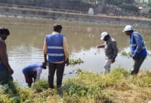 Musi River Clean-Up: GHMC Launches Major Operation to Curb Mosquito Breeding