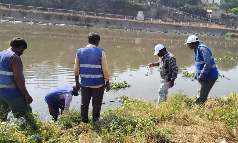 Musi River Clean-Up: GHMC Launches Major Operation to Curb Mosquito Breeding