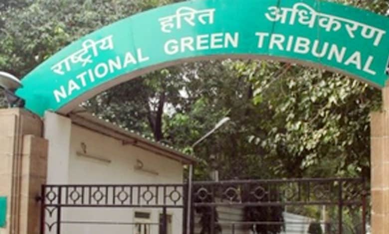 NGT Issues Notice to Odisha Government Over Environmental Violations in Steel Plant