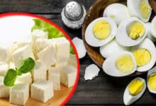 Eggs or Paneer – Which Protein Will Help You Reach Your Fitness Goals Faster?