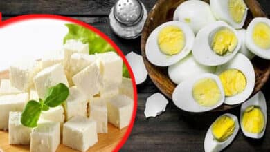 Eggs or Paneer – Which Protein Will Help You Reach Your Fitness Goals Faster?