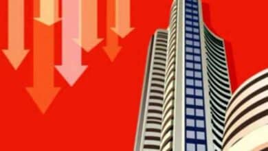 Indian Stock Market Ends Lower, Small and Midcap Shares Shine