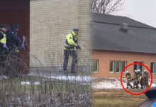 Horror in Sweden: Gunman Opens Fire at Adult Education Centre, Five Shot—Perpetrator Dead